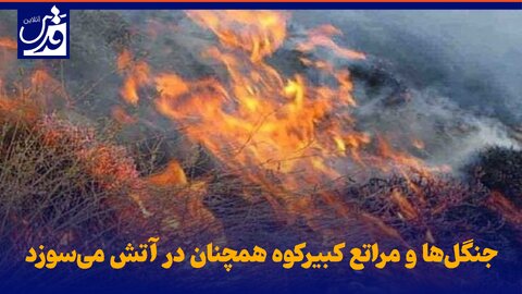 فیلم| جنگل‌ها و مراتع کبیرکوه محدوده آبدانان استان ایلام همچنان در آتش می‌سوزد