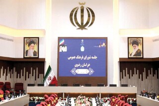 شورای فرهنگ عمومی در حد انتظار عمل نکرده است