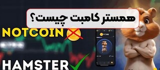 همسترکامبت چیست؟/ چرا پیام‌های joined to telegram زیاد شده است؟