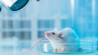انقلابی در درمان سرطان؛ آزمایش موفق واکسن ضدسرطان روی موش‌ها