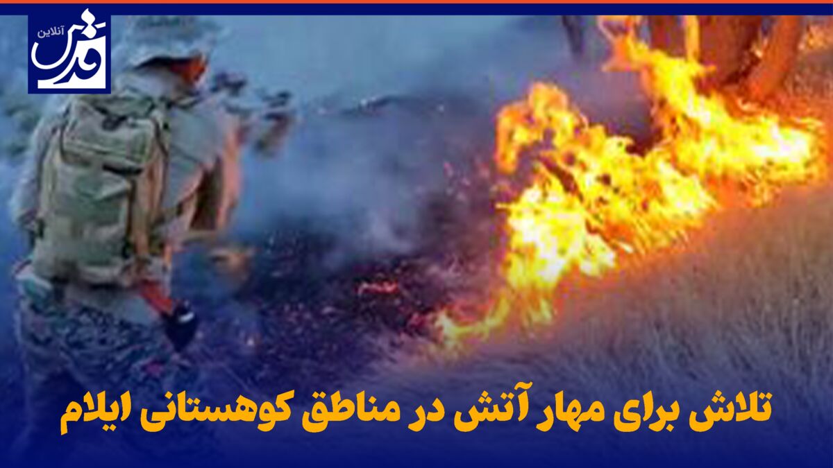 فیلم| تلاش برای مهار آتش در مناطق کوهستانی ایلام
