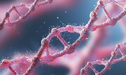 کشف ژن برای اعتماد/ اعتماد ریشه در DNA افراد دارد