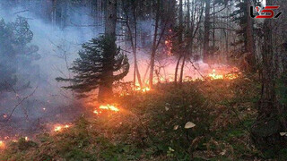 شناسایی ۴ نفر از عوامل آتش‌سوزی جنگل‌های لرستان