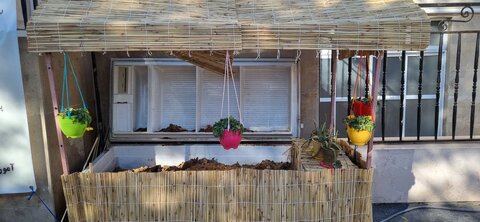 درباره معلم بهداشت نجفآبادی که به حال خوب طبیعت میاندیشد/ لشکر ۱۶۰۰نفره خانم ایمانیان