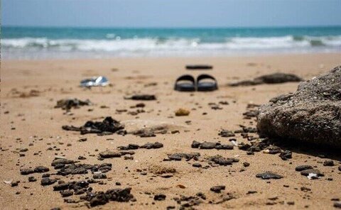 پاکسازی ساحل بوشهر از آلودگی‌های نفتی