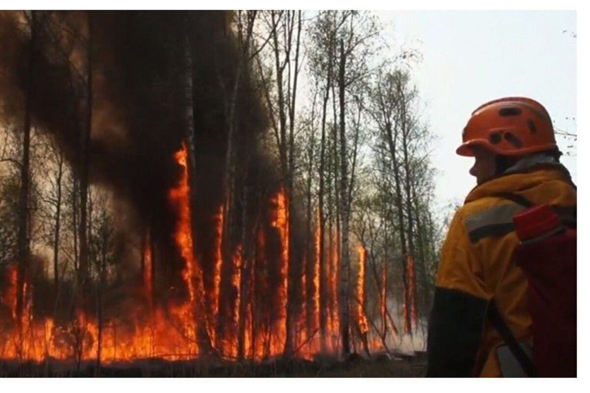آتش سوزی در بیش از ۱۵۹ هزار هکتار جنگل های یاکوتیای روسیه