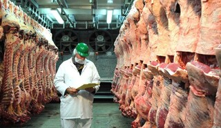 ثبت سفارش گوشت قرمز فردا آغاز می‌شود