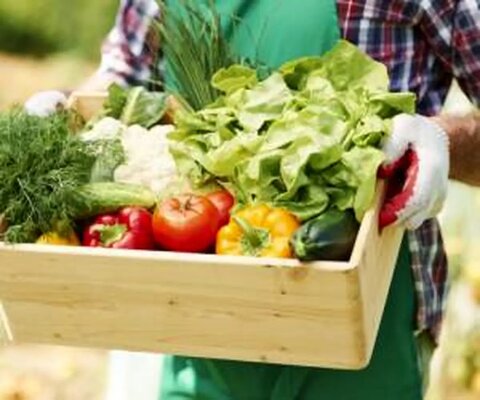 سبزیجاتی که نباید هر روز مصرف شود