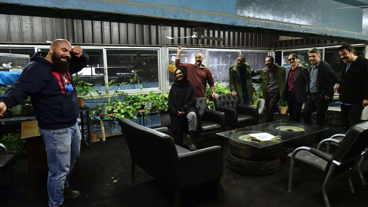 چرا «جنگل آسفالت» با قصهای ناتمام به پایان رسید؟ / تب سریسازی در نمایش خانگی