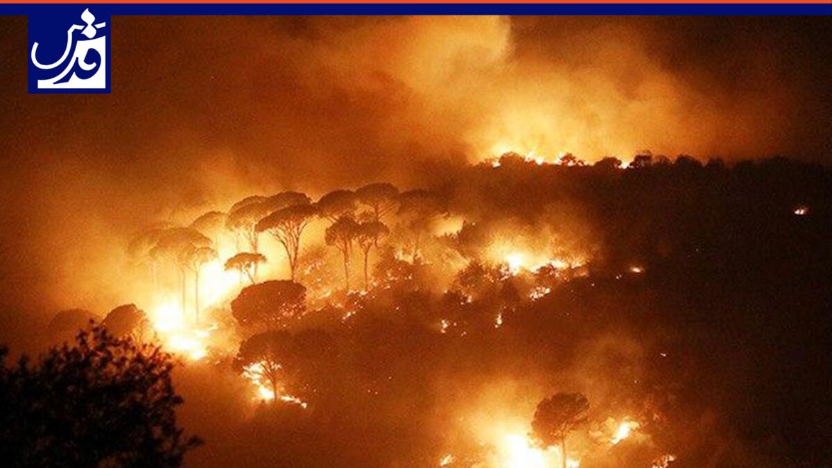 فیلم| بازگشت آتش به جنگل‌ها و مزارع ترکیه