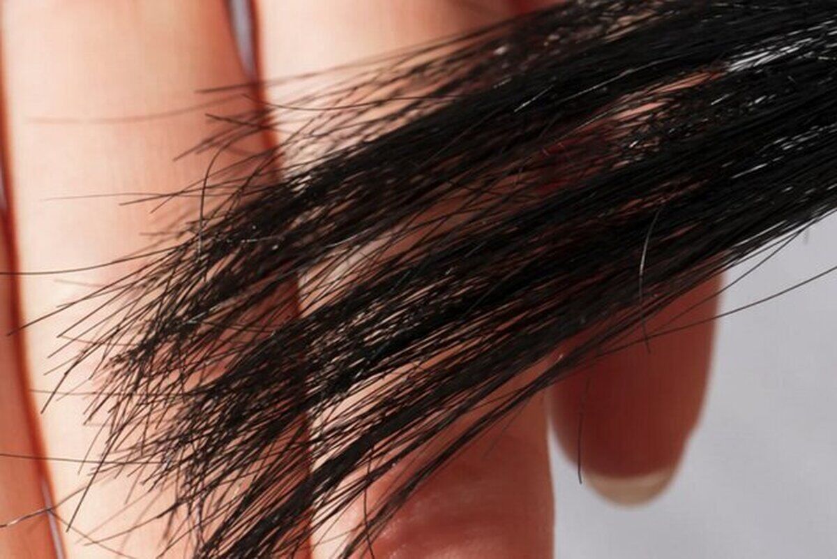چرا موهایتان دوشاخه می‌شود؟ / راه حل دانشمندان برای موخوره