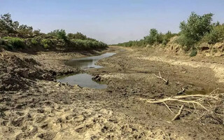 خوزستان تشنه است / 
 «هورالعظیم» در حسرت بازگشت عظمت از دست رفته