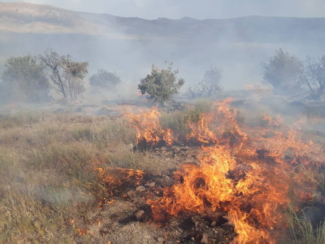 آتش سوزی خائیز کهگیلویه/ خطر در کمین حیات وحش