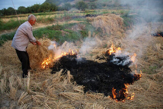 بی‌هنجاری دما در برخی نقاط کشور/ کشاورزان از آتش زدن کاه و کلش در مزارع اجتناب کنند