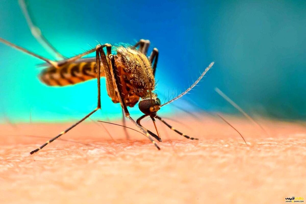  هشدار نسبت به گسترش مالاریای مقاوم به دارو، در برخی کشورها