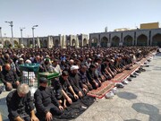 برپایی نماز جماعت ظهر تاسوعا در حرم مطهر رضوی با حضور گسترده عزاداران