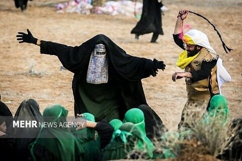 زنان در تاریخ کربلا