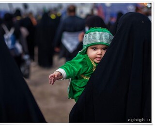 ۲۰موکب و ۱۲ مدرسه آماده پذیرایی از زائران پاکستانی در سیستان و بلوچستان