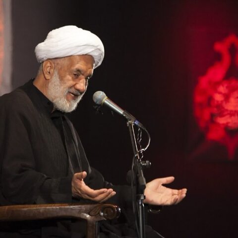 قهرمانان کربلا علت مبقیه کربلا بودند