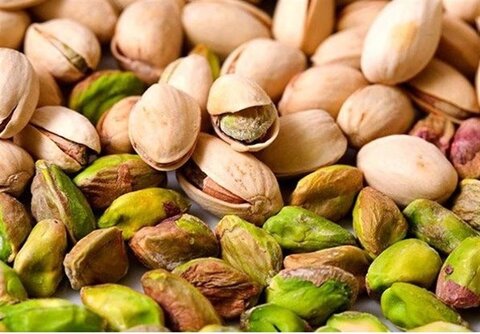 ۴۴ واحد صنایع تبدیلی پسته در خراسان جنوبی فعال است
