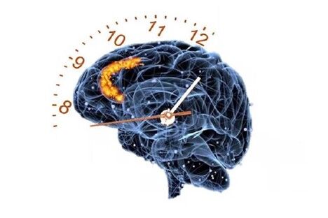 مغز درک درستی از ساعت ندارد