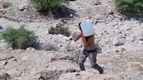 درباره محسن اسفندیاری راننده کامیونی که عشقش محیط زیست است/ کمک به افزایش جمعیت پرندهها و حیوانات