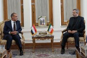 باقری: همکاری ایران و مصر برای مقابله با چالش‌ها و تهدیدات منطقه ضروری است