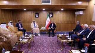 رئیس‌جمهور: گسترش تعاملات ایران و امارات متحده عربی به نفع امت اسلامی است