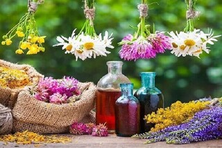 پاسخ به چند باور غلط در مورد مصرف داروهای گیاهی
