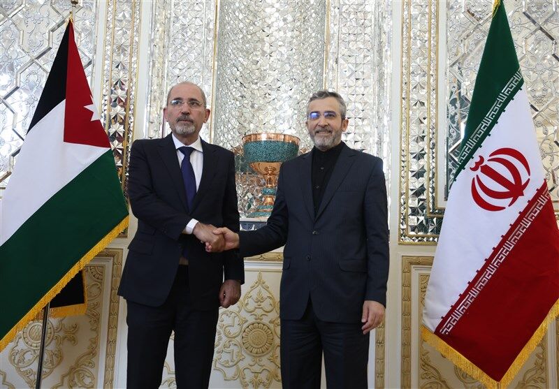 دیدار وزیر خارجه اردن با علی باقری 