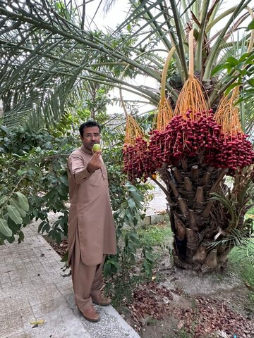 درباره هموطن بلوچی که با معرفی داشتههای کشاورزی، شوق دیدن سیستان و بلوچستان را در بیننده زنده میکند/ جذب گردشگر با نمایش