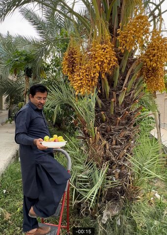 درباره هموطن بلوچی که با معرفی داشتههای کشاورزی، شوق دیدن سیستان و بلوچستان را در بیننده زنده میکند/ جذب گردشگر با نمایش