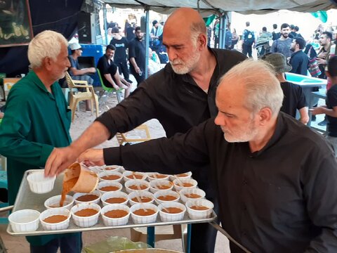 میزبانی خدامالرضا(ع) در خانه صاحبالزمان(عج)