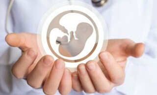 تشکیل کمیته ویژه درمان ۱۵۰۰ زوج نابارور در تربت حیدریه