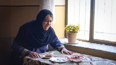 هنرهای نمایشی، ابزاری اثرگذار برای نشر معارف رضوی