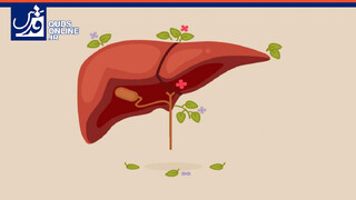 فیلم | پیشگیری و درمان کبد چرب