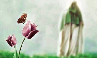 درس اخلاق | چرا امام باید معصوم باشد؟