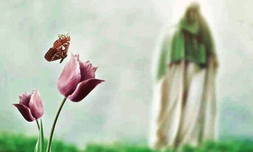 درس اخلاق | چرا امام باید معصوم باشد؟
