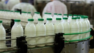 پیش‌بینی‌ناپذیری و نوسانات قیمت مواد اولیه، بزرگ‌ترین چالش محیط کسب‌وکار خراسان رضوی
