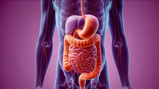 توصیه های امام رضا علیه السلام درباره بیماریهای گوارشی و معده