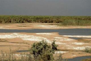 ۹ تالاب ایران بیابان شد