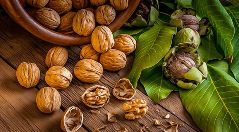 میان وعدههای مغذی برای زنگ تفریح دانش آموزان/ از صبحانه غافل نشوید