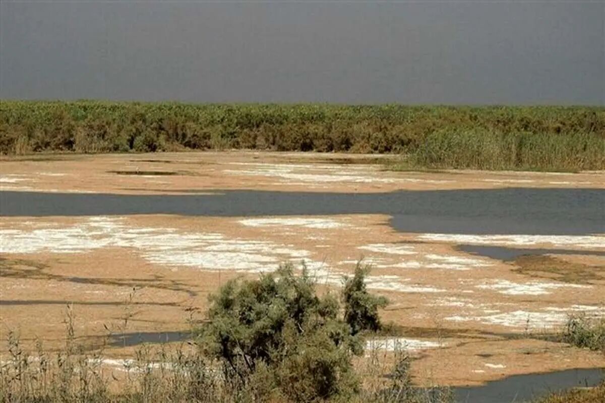 ۹ تالاب ایران بیابان شد 