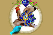 در حاشیه نور و نذر / وقف در سایه خورشید هشتم(ع)