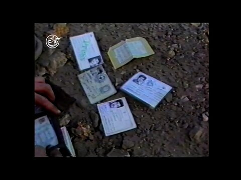 مستند سازی که با سید مقاومت دیدار داشته است: شهید آوینی اولین مستند حزب ا... را ساخت