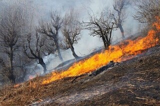 آتش‌ بار دیگر در پارک ملی تندوره خراسان رضوی زبانه کشید