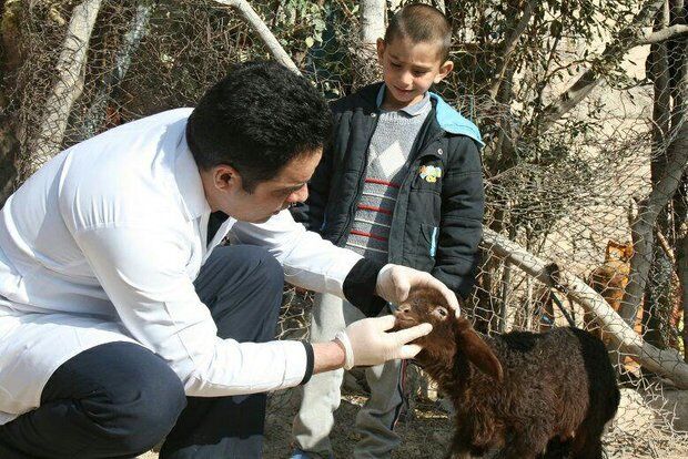 برخی دامپزشکان به مناطق کوهستانی نمی روند