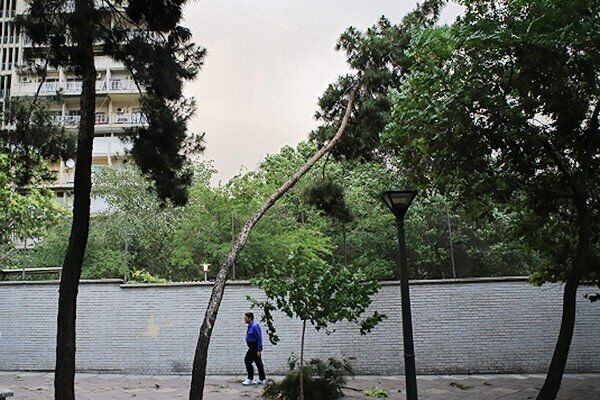 وزش باد در خراسان رضوی شدت می‌گیرد