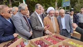 برگزاری جشنواره سیب مراغه با حضور میهمانان ملی