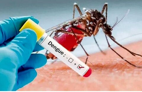 هشدار تب دنگی در هرمزگان؛ مشارکت عمومی تنها راه مهار آئدس است